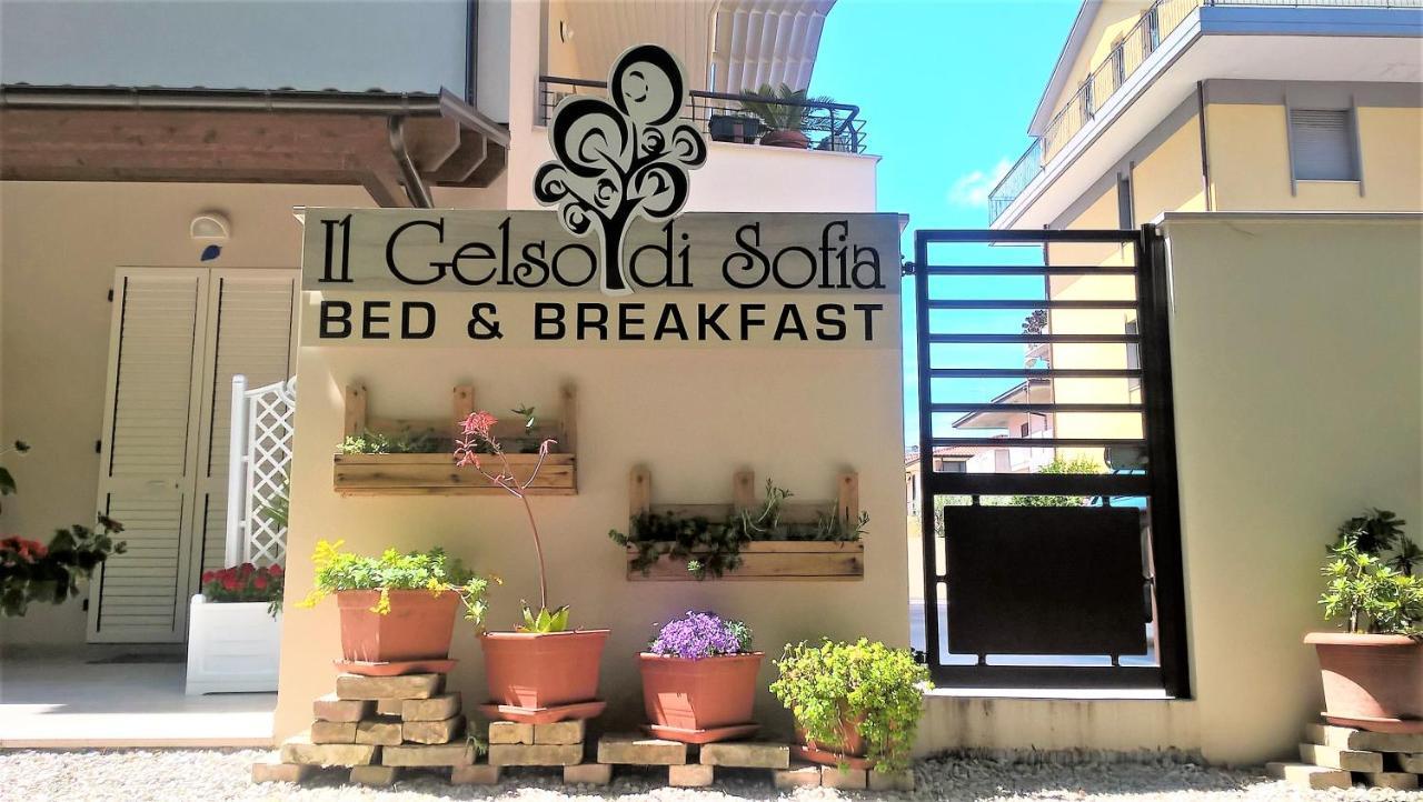 Il Gelso Di Sofia B&B Tortoreto Exterior photo